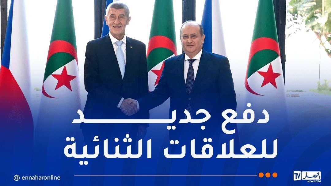 الوزير الأول يُجري محادثات ثنائية مع نظيره التشيكي